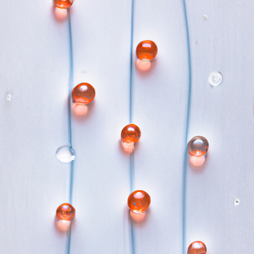 1) "Unveiling the Science Behind Skin Barrier Function: How Lipids and Proteins Work Together to Protect Your Skin