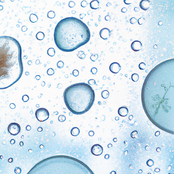 1) "The Influence of Microbiome Diversity on Skin Health: Exploring the Role of Probiotics in Skincare