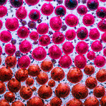 1) The Role of Ceramides in Skin Barrier Function: Understanding the molecular biology behind how ceramides support healthy skin barrier function and prevent moisture loss.