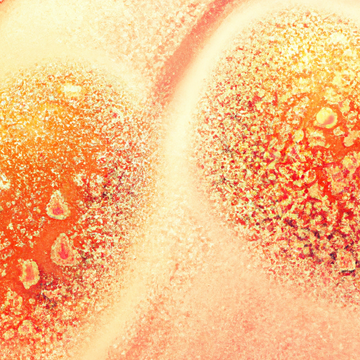 "Comparing Morning and Night Use of Topical Collagen Jelly for Skin Health"