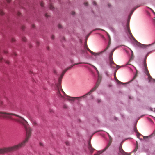 "Exploring the Efficacy of Topical Collagen Jelly in Wrinkle Reduction"