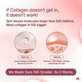 Numour Collagen Bombshell + Damn Dewy Refill Combo
